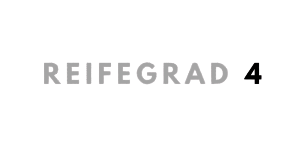 Logo Reifegrad 4