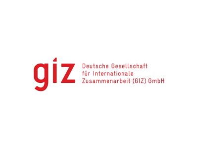 giz Logo