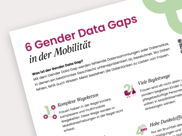 Gender Mobility Data Gaps