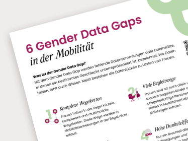 Gender Mobility Data Gaps Gender Mobility Data Gaps